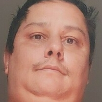 bigbellybrazil Nude