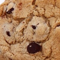 Cookie Nude