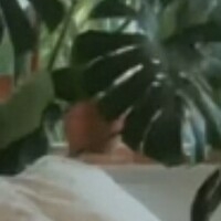 estelleonline Nude