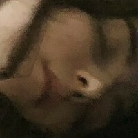 garnetuniverse12 Nude