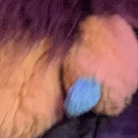 saberthot Nude