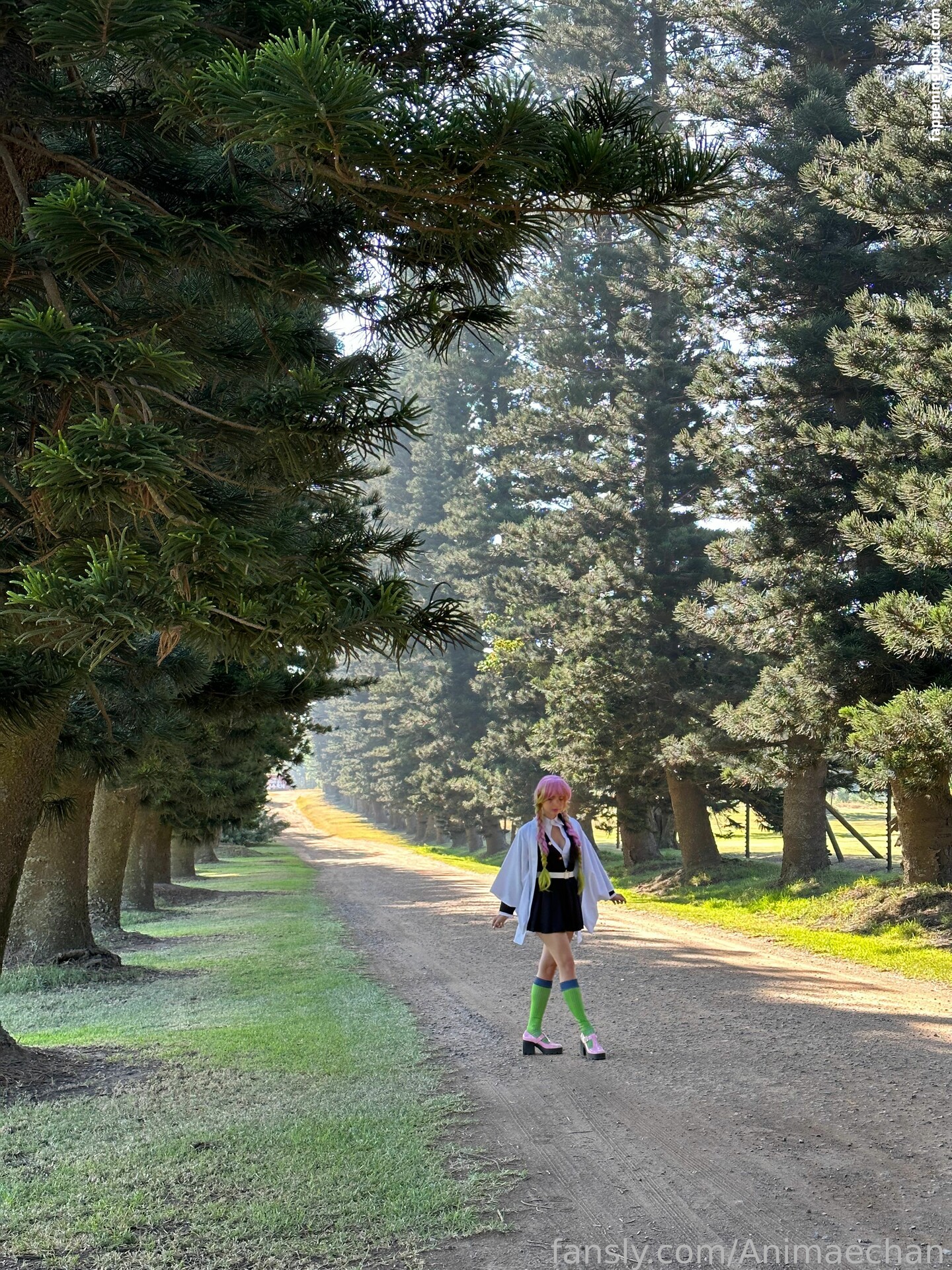 Animaechan / animaechan Nude, OnlyFans Leaks, The Fappening - Photo